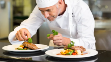Cozinheiro Básico